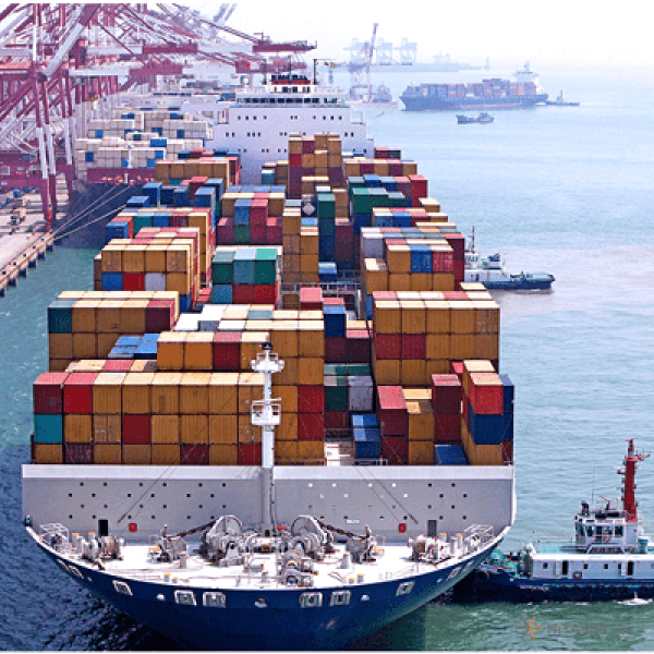 fjMSDCZNE7FyCRVSqEXNfphQjpVouf-metaMy5wbmc=-